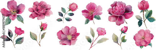 Wallpaper Mural pink flower isolated on white Torontodigital.ca