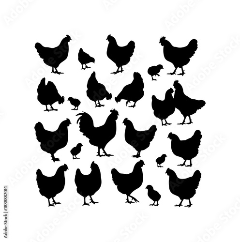 Chicken Silhouettes Collection