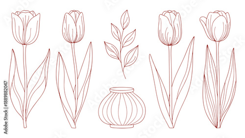 Elegant tulip collection with leaf and vase in minimalist red line art style