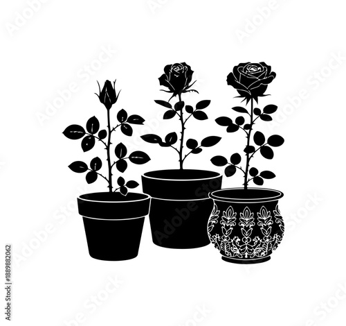 Three Potted Roses Illustration