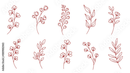 Elegant minimalist floral design collection with delicate line art