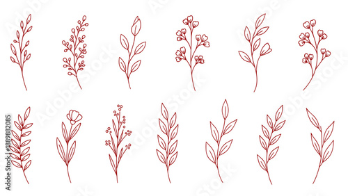 Elegant minimalist floral elements in linear style