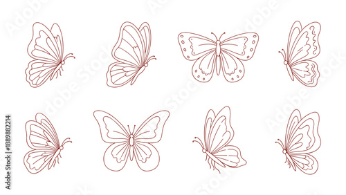 Elegant butterfly set in outline style for nature and insect design projects