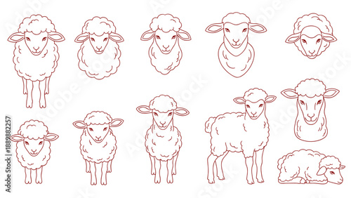 Set of sheep line drawings featuring different poses and expressions