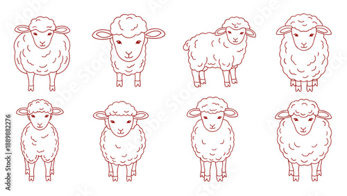Cute linear sheep collection in minimal design for farm graphics