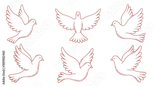 Set of minimalistic doves with outstretched wings in linear style