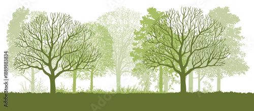 Bare Trees in Early Spring Park, Minimalist Vector Illustration of Leafless Trees, Seasonal Nature Landscape, Calm Urban Green Space, Outdoor Scenery, Soft Natural Mood, Flat Design Artwork