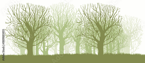 Bare Trees in Early Spring Park, Minimalist Vector Illustration of Leafless Trees, Seasonal Nature Landscape, Calm Urban Green Space, Outdoor Scenery, Soft Natural Mood, Flat Design Artwork