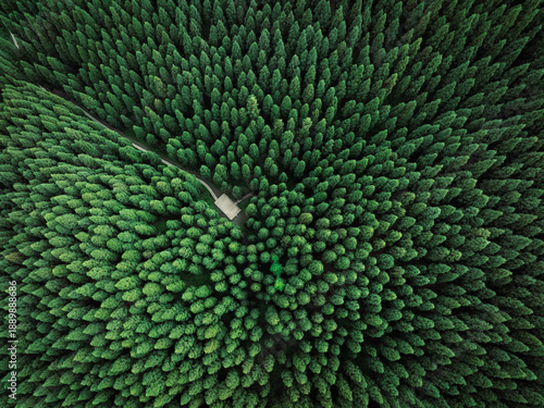 Aerial view of beautiful forest mountain landscape