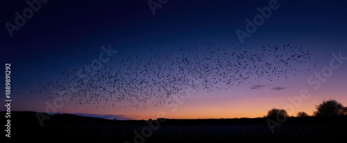Panel kuchenny z motywem The starling murmuration forms dynamic shapes across the fading twilight sky.