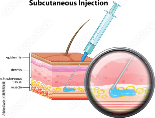 Skincare protection diagram skin layers uv rays infographic vector