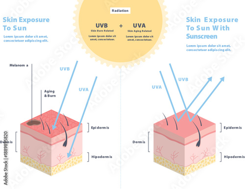 Sun protection skincare infographic uv radiation educational diagram vector