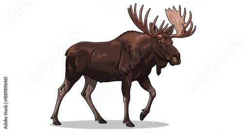A majestic moose with large antlers walking in a serene forest environment, viewed from the side, as seen in jan work (48).ai