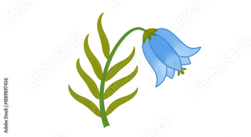 A bluebell flower with leaves, an illustration of a botanical scene viewed from the side, showcasing nature's beauty
