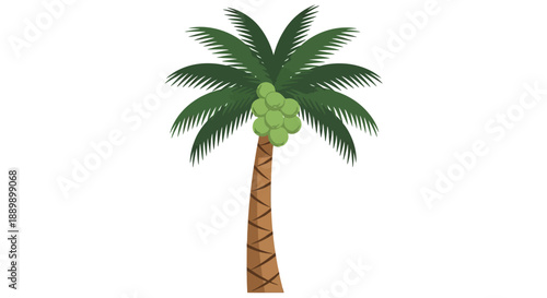 Palm tree with green coconuts standing alone in a serene landscape viewed from a slight angle