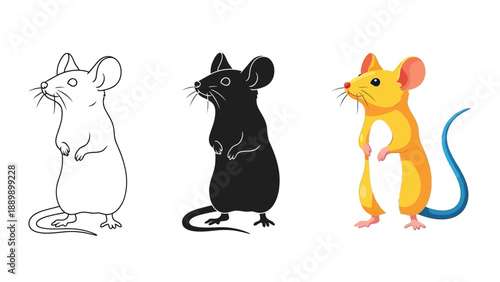 Set of three potted house plants in various styles outline, silhouette, and color illustration, displayed a shelf