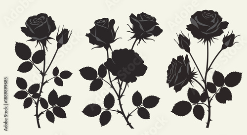 Elegant black rose silhouette arrangement on light background graphic illustration