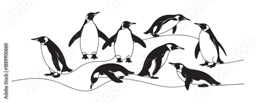 Penguin Illustration, Penguin Silhouette Vector, Black And White Animal Illustration.