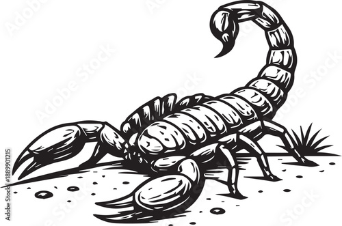 A detailed illustration of a scorpion is presented in a monochrome style, emphasizing texture and form against a neutral backdrop. The scorpion is the focal point, its menacing silhouette stands out.