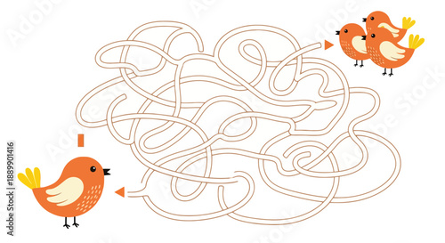 Two orange birds navigating a complex maze path with arrows indicating direction