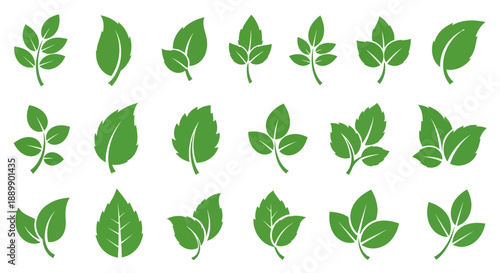 Diverse green leaves silhouette collection on white background showcasing botanical variety and