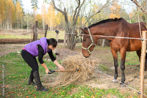 Obraz na płótnie Middle Aged Woman Feeding Hay to Horse Behind Fence