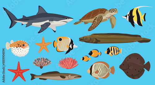 Colorful variety of marine life including a shark, turtle, and many different tropical fish swimming together in a simple cartoon scene.