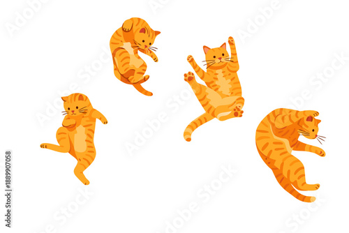 Collection of cute orange kittens playing and posing in various adorable positions.