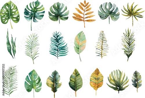 vector set of green leaves