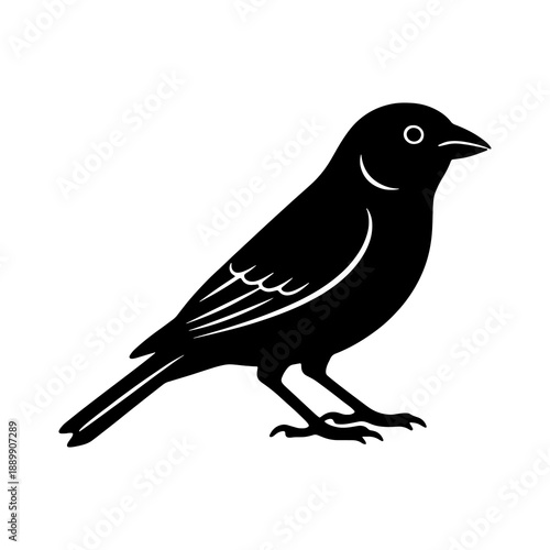 Black Parrot Silhouette Vector - Tropical Bird Icon Design