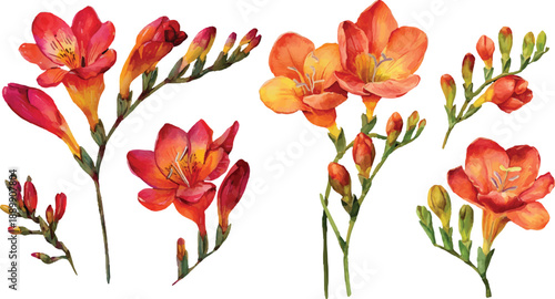 red and yellow flower