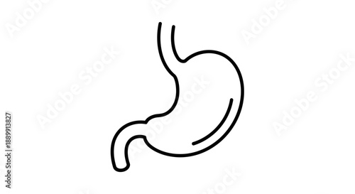 Simplified anatomical drawing of the human stomach depicted in a black line art style on a plain