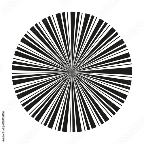 Extraordinary symmetrical star. Sophisticated intricate pattern. Vectorized ornate snowflake. Monochromatic background contrast