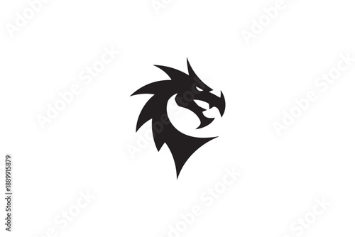 by-logo-incorporates-a-dragons__36163_traced