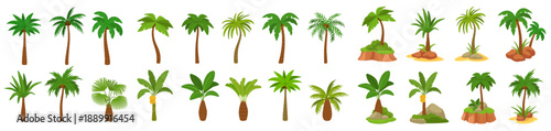 Cartoon palm tree. Tropical beach tree, coconut and island jungle plant. Flat grass with palm tree leaves clipart and coco exotic element. Green Hawaii foliage, Miami plants. Vector isolated set