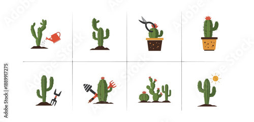 Cactus life cycle stages illustrated in pixel art on black background