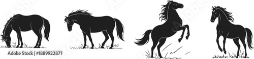 Horse silhouettes on grass, black vector illustration, grazing horse, rearing stallion, equine poses, wild animal art, nature design element
