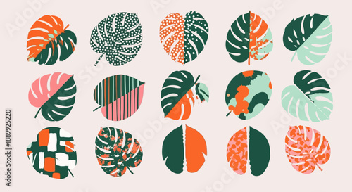 A digital illustration of various tropical leaves with diverse patterns and colors on a light background from a top viewpoint