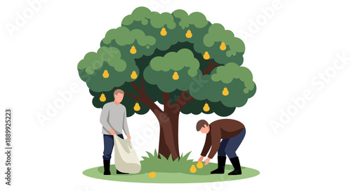 Two individuals harvesting oranges from a lush tree in a serene environment