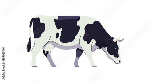 An illustration of a cow walking on a plain white background from a side view, showcasing its black and white fur pattern.