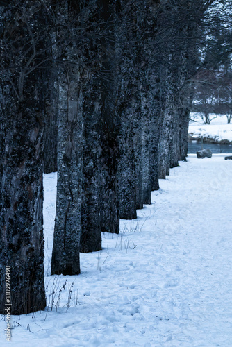 Paisaje nevado, baños de Panticosa