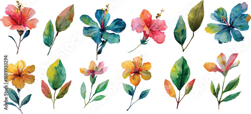set of colored flowers