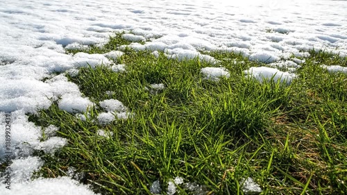 Snow covering green grass in winter landscape.