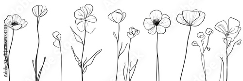 Minimalist continuous line drawing of wildflowers with delicate stems and petals isolated on white background in black sketch style vector illustration