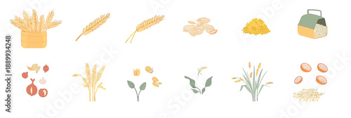 Set of flat vector grain and cereal icons including wheat, barley, rice, oats, millet, quinoa, corn and related seeds in minimalist style illustration