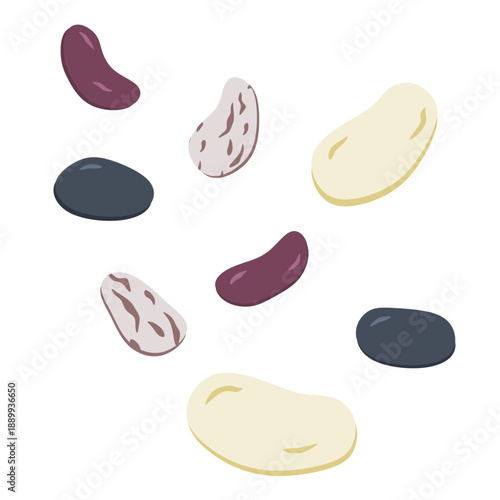 Colorful Beans Vector Illustration – Flat Organic Legume Set