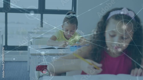 Animation of network of connections over diverse schoolchildren learning