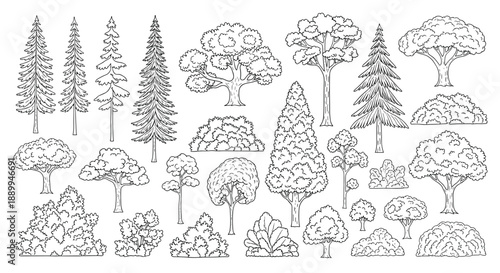 Broad set of various tree and bush sketches illustrates the diversity of plant life from pines to leafy deciduous trees in line art.