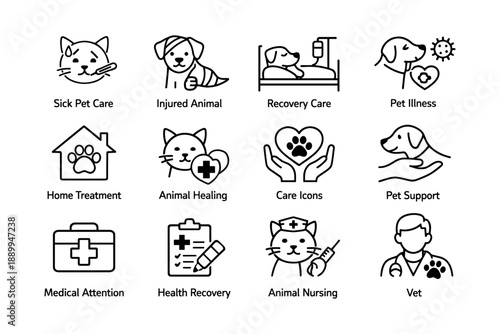 Pet care icons: medical, recovery, support, and treatment symbols