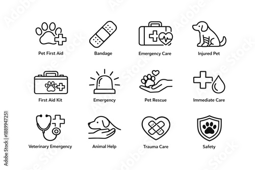 Pet first aid icons: emergency care and veterinary assistance
